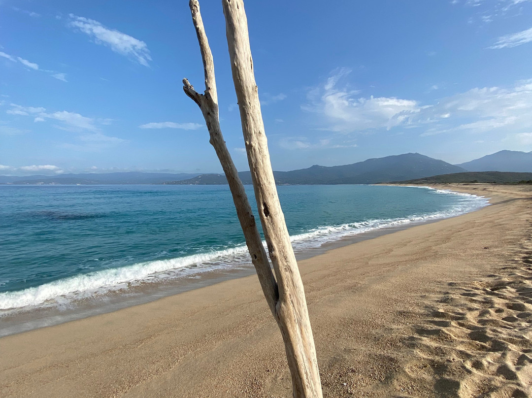 Plage de Portigliolo景点图片