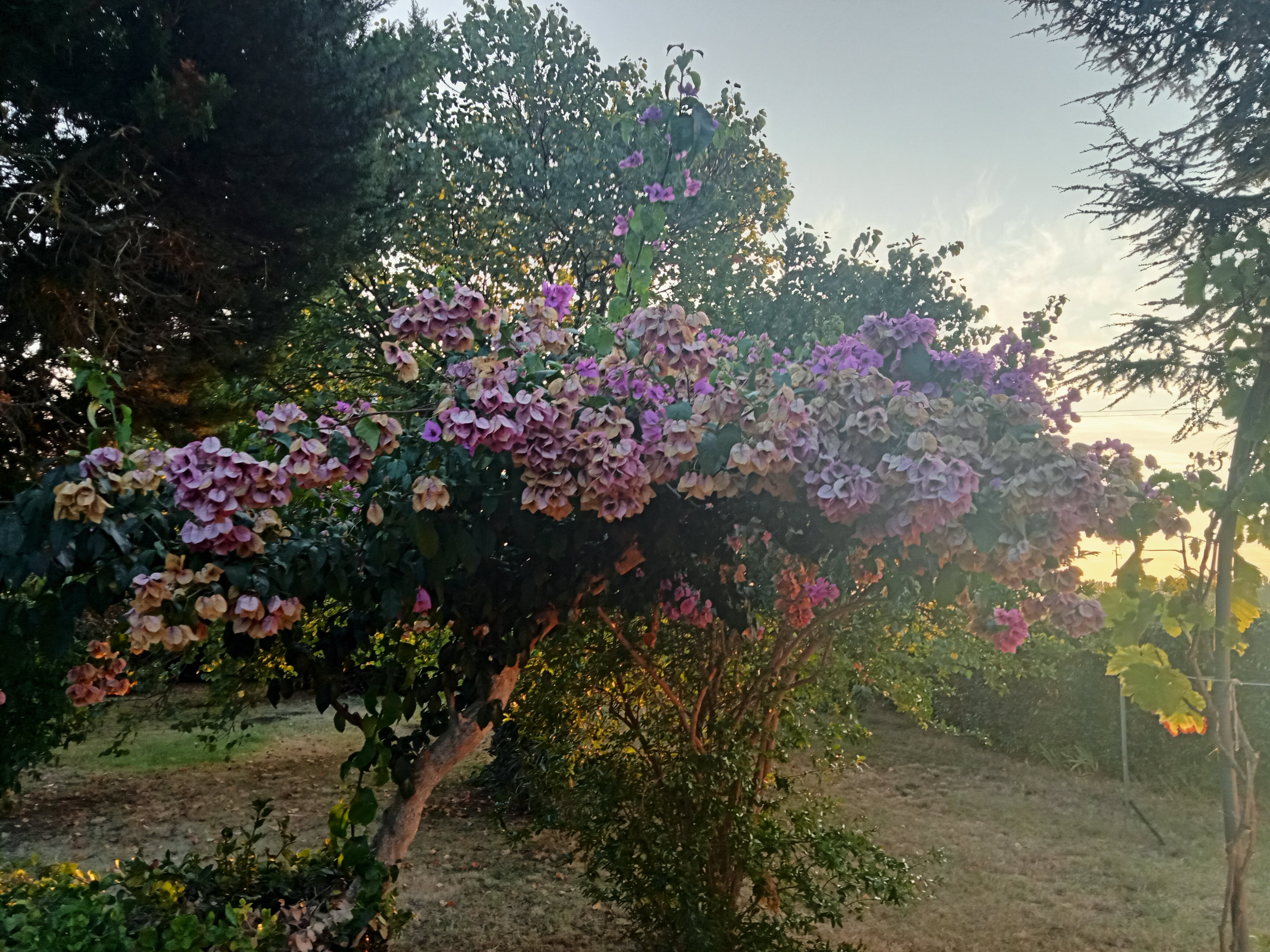 B&B Cristina-官方