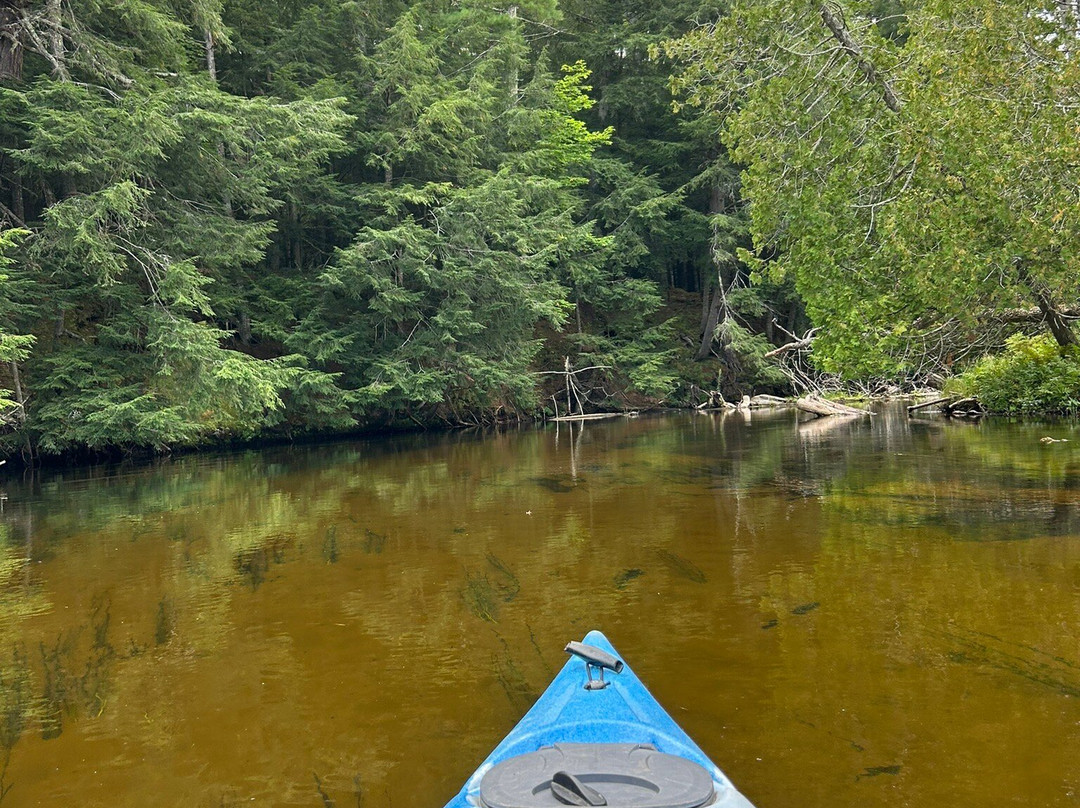 Northwoods Canoe & Kayak Rentals-Au Train必去景点