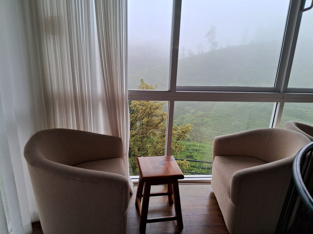 Harrington Heritage主图