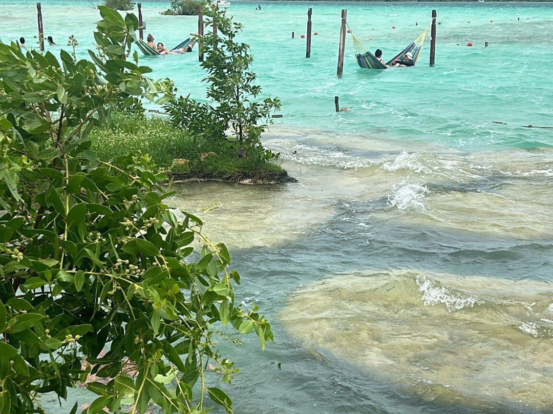 Cenote Cocalitos景点图片