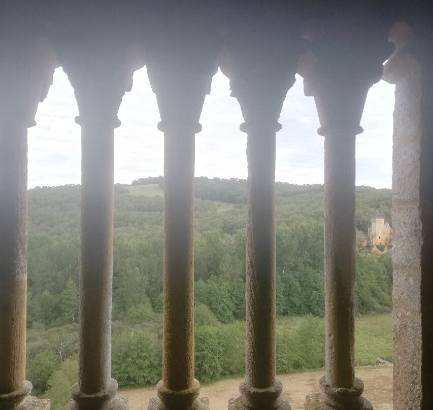 Chateau de Commarque景点图片