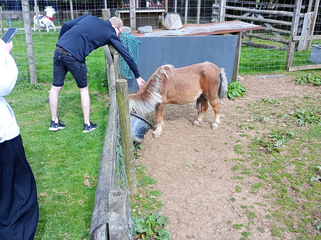 Clerkenhill Adventure Farm and Frizbee Golf Course景点图片