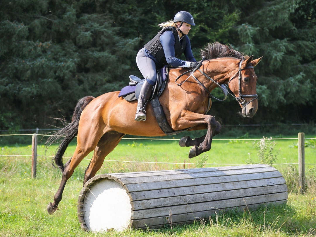 Crossogue Equestrian Centre景点图片
