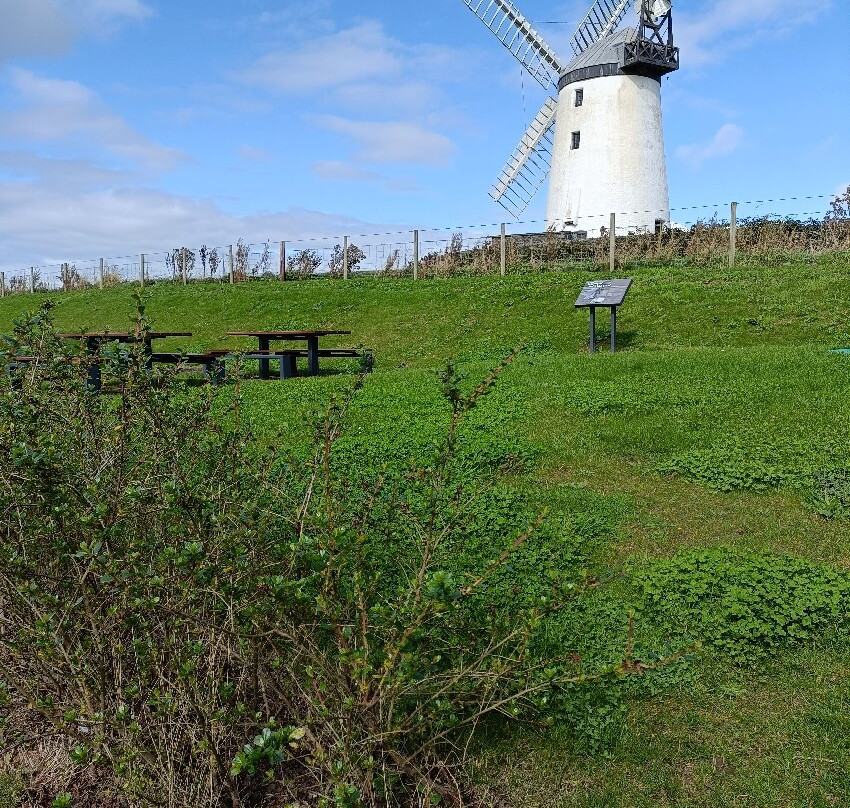 Ballycopeland Windmill景点图片