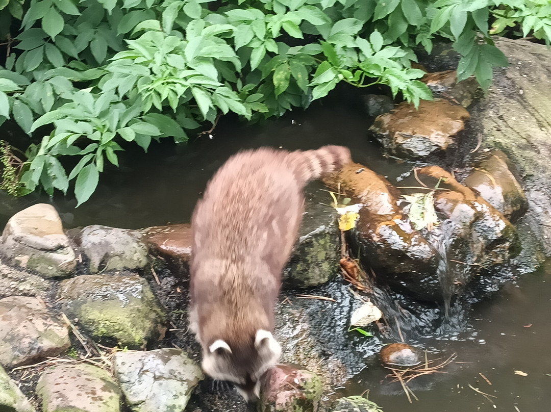 Artisklas-哈勒姆必去景点