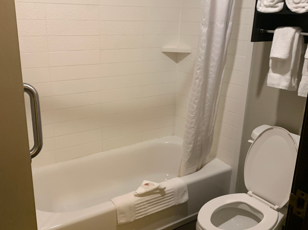 拉丁顿智选假日酒店主图