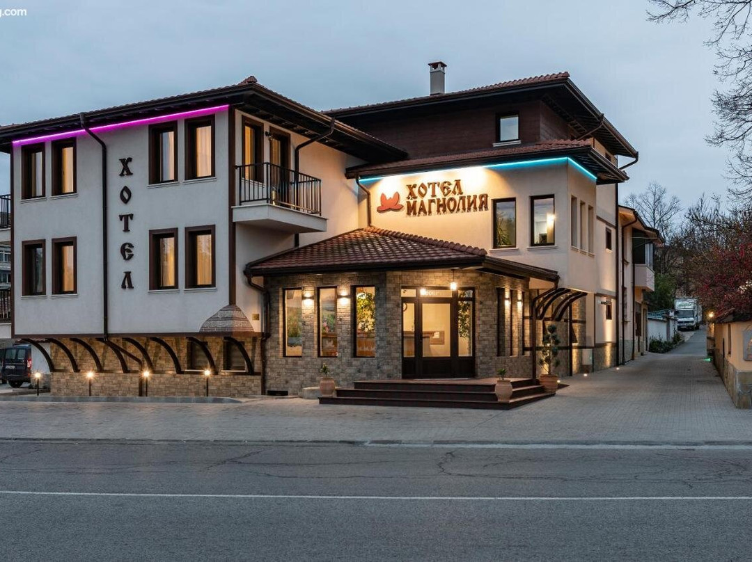 Semeen Khotel Magnoliya主图