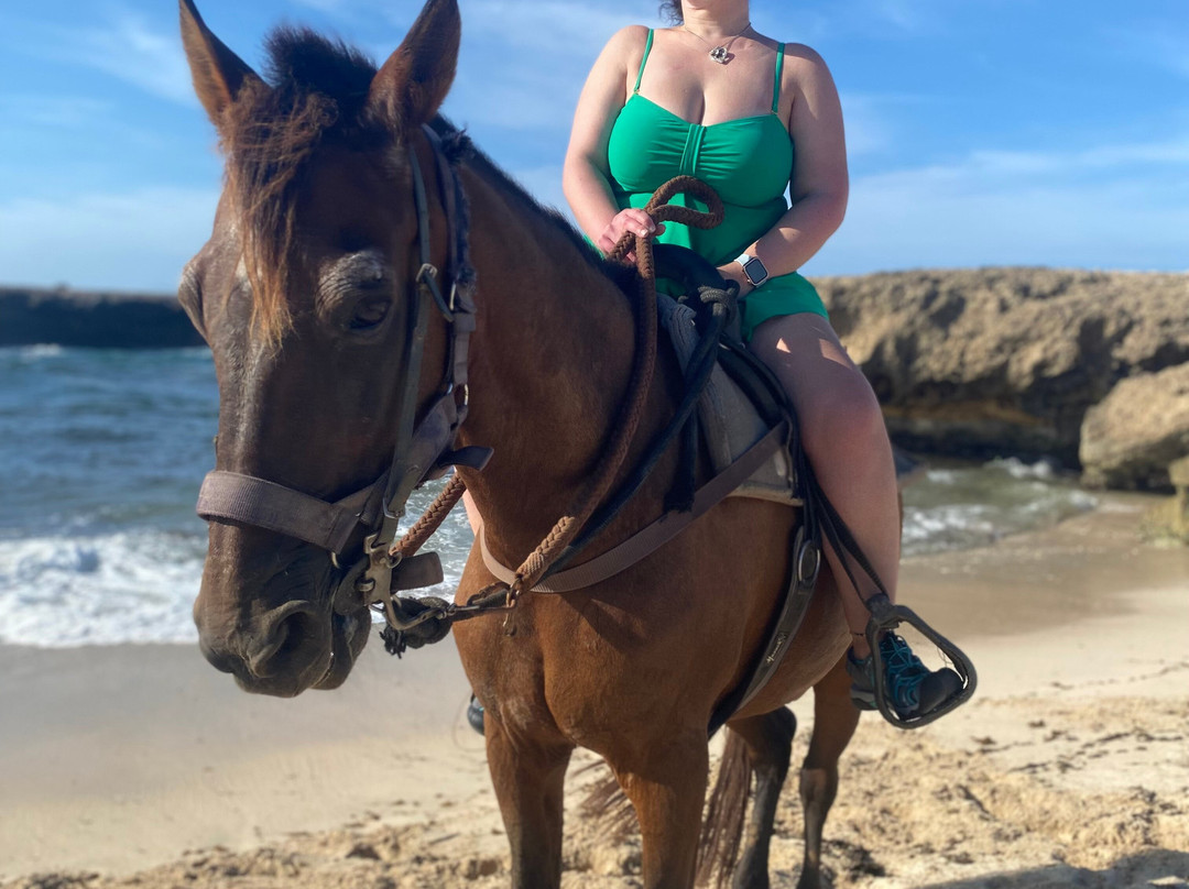 The Gold Mine Ranch-Arikok National Park必去景点