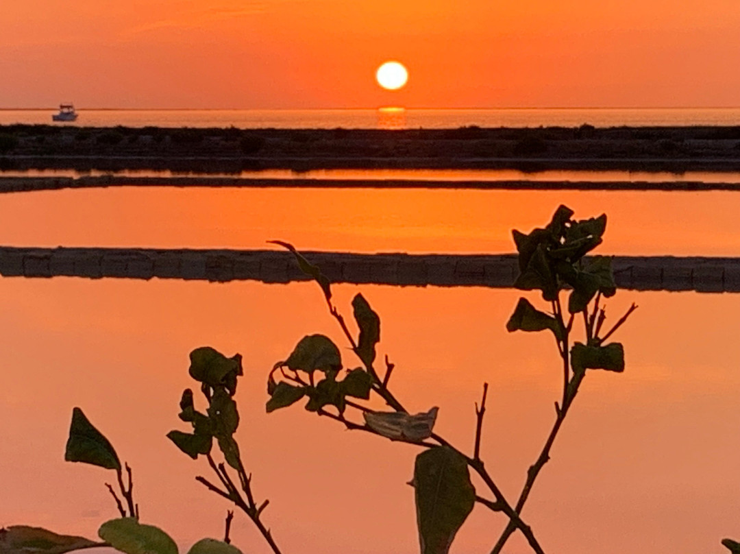 A Casa Di Coso B&B主图