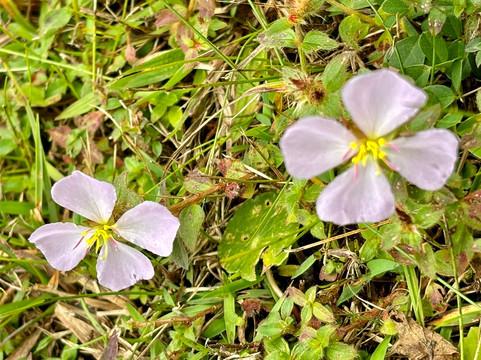 Cemitério dos Índios-Ilha Comprida必去景点