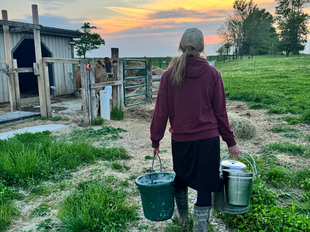Jireh Hills Family Homestead
