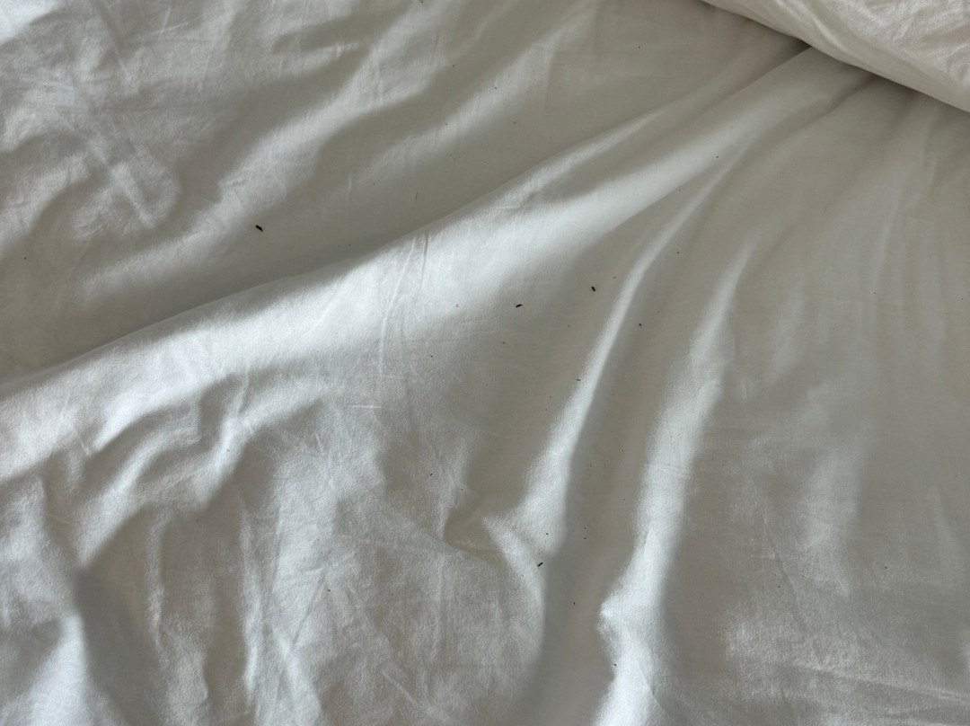 Aloft Denver North Westminster主图