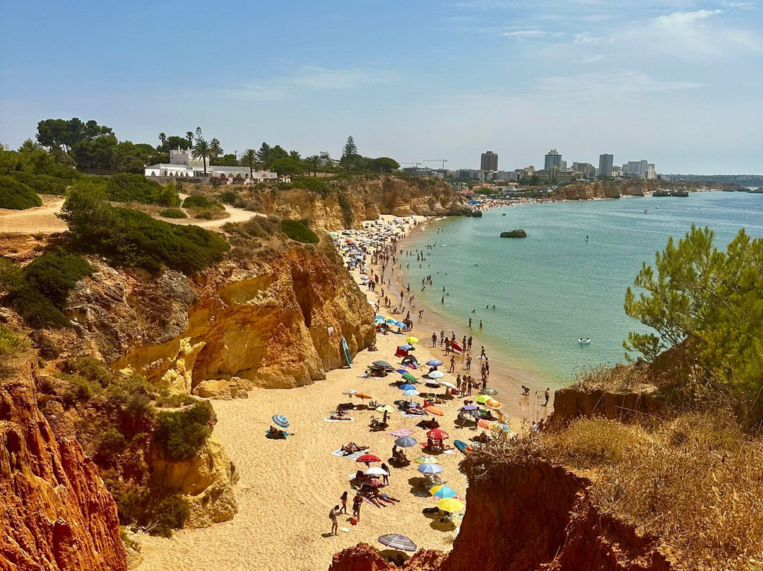 Praia do Alemao-波尔蒂芒必去景点