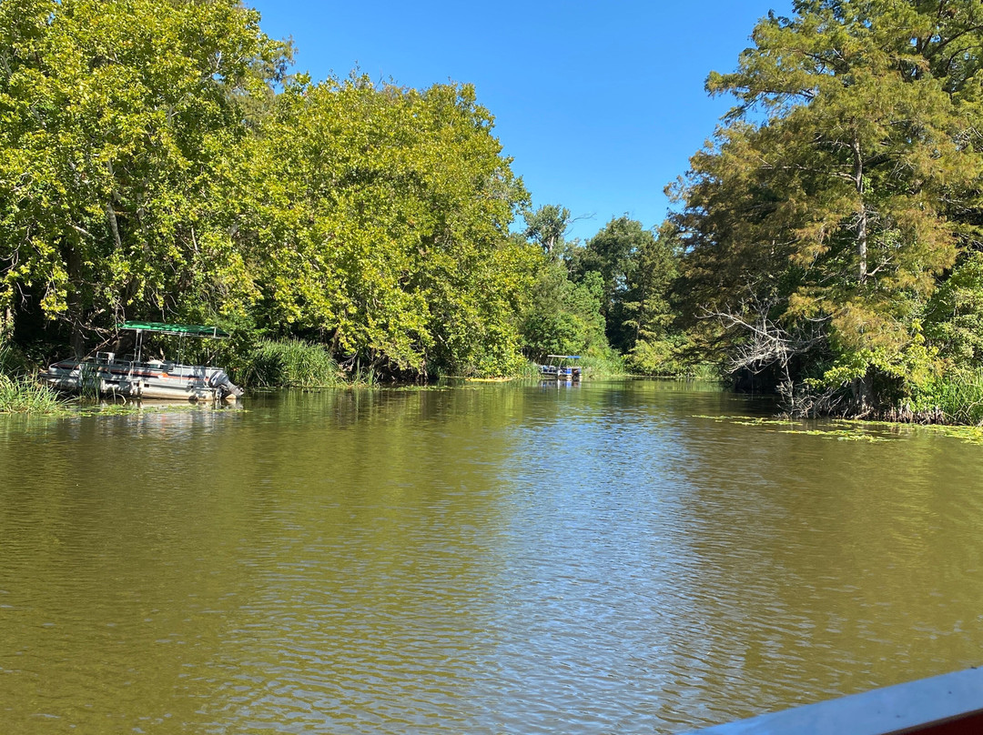 Cane River Boat Tours景点图片