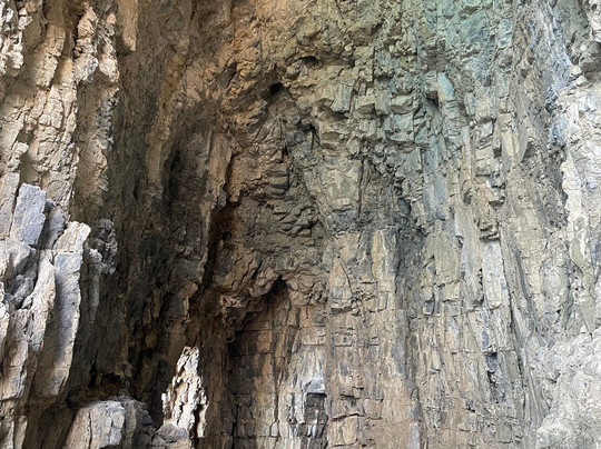 Glass Bottom Boat-林多斯必去景点