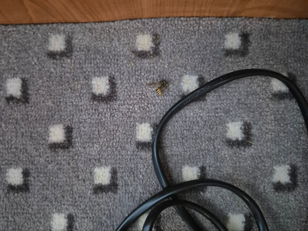 科隆波恩机场假日酒店主图