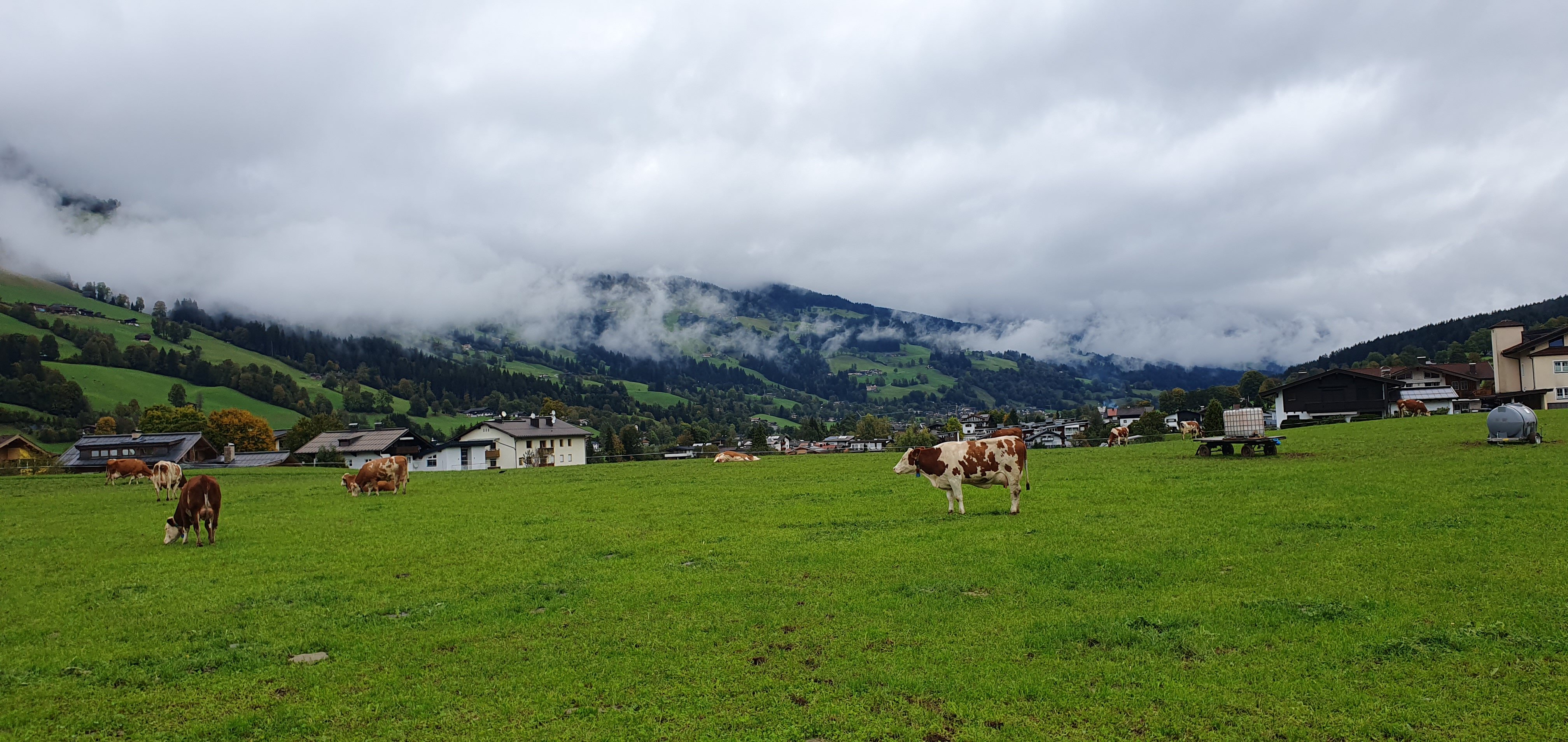 Pension Georg-官方