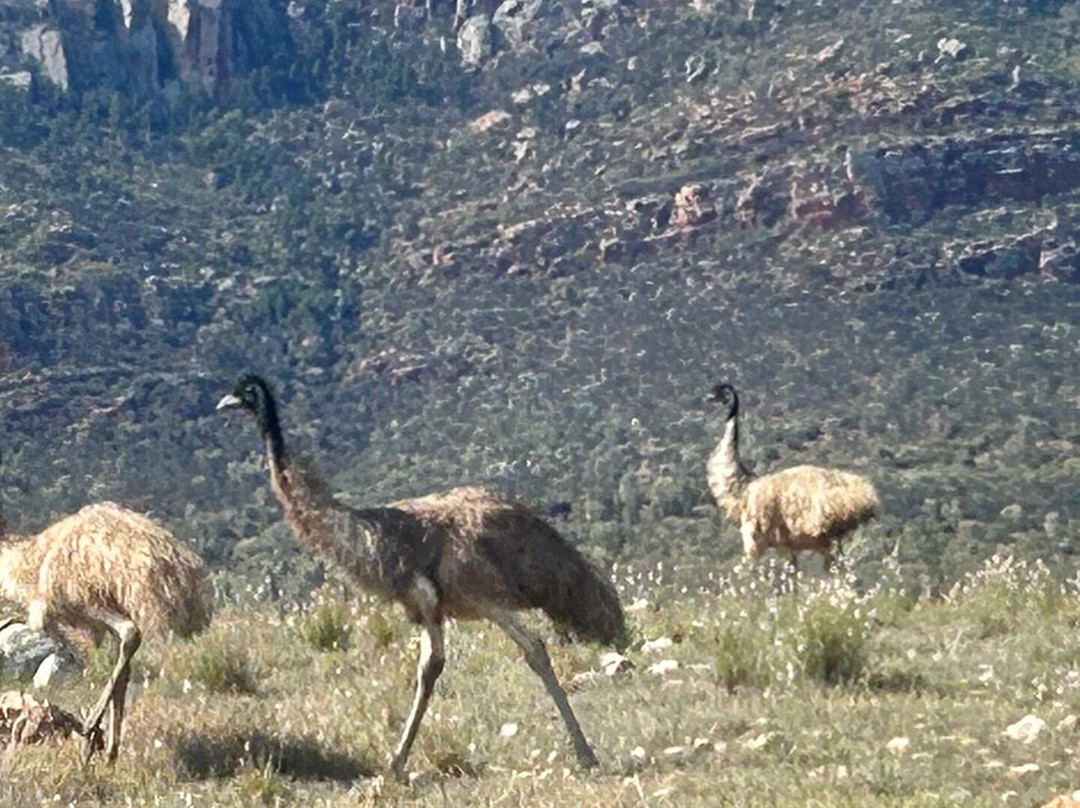 North Blinman Hotel主图