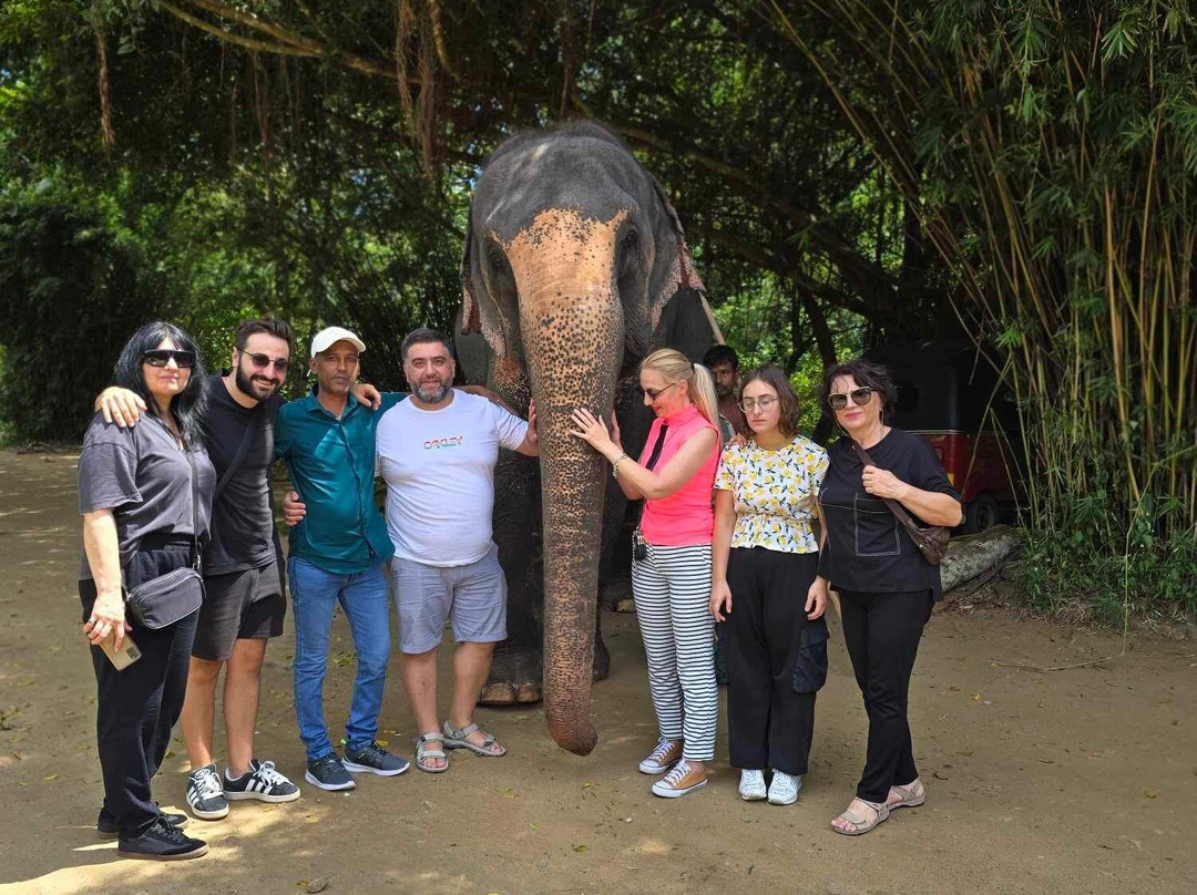 Luk Sri Lanka Travels-Pallekele必去景点