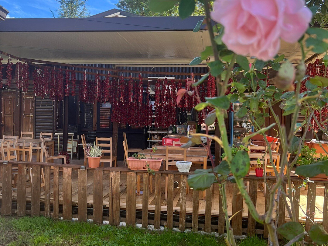 PapaVillage (chalets)主图