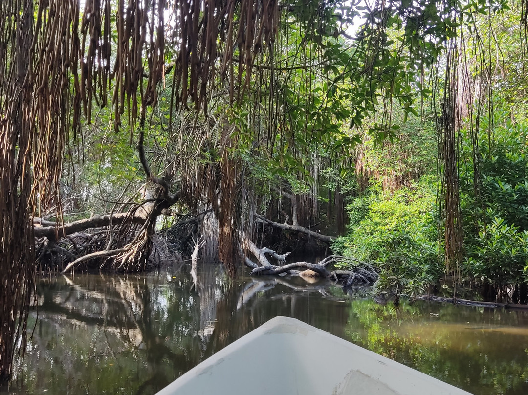 Sunshine Water Sports Centre-Aluthgama必去景点