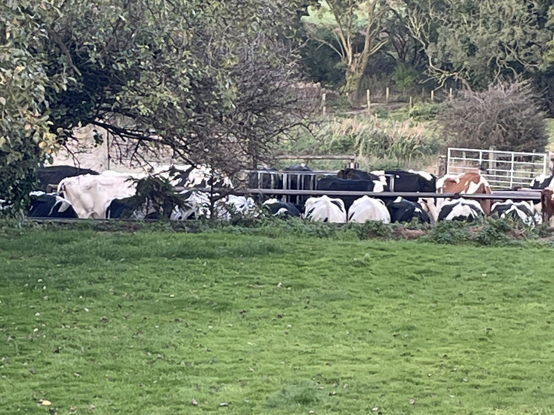 Mackworth House Farm B&B主图