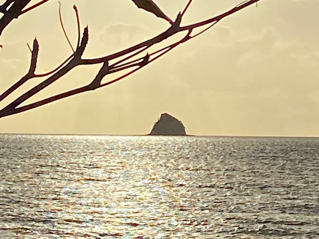 Palm Cove Jetty-棕榈湾必去景点
