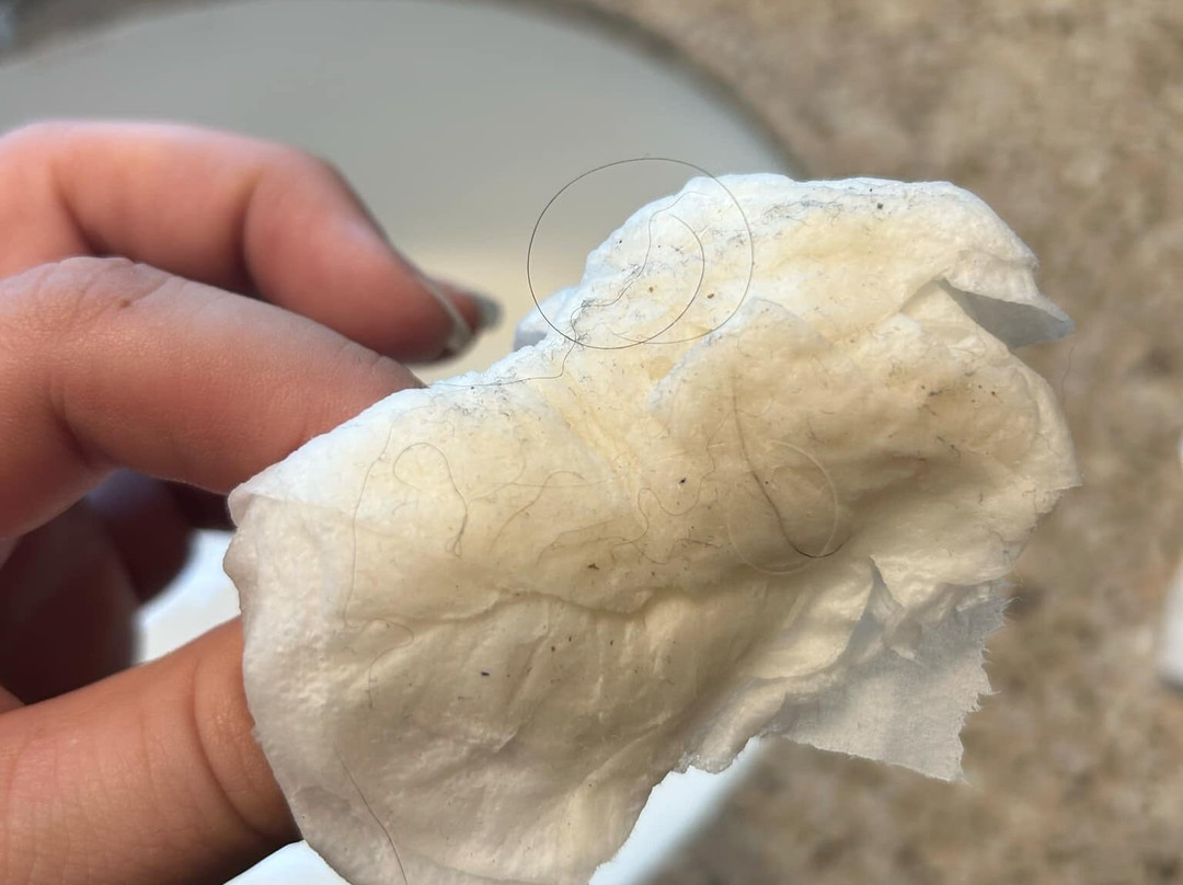 Best Western Orlando West主图