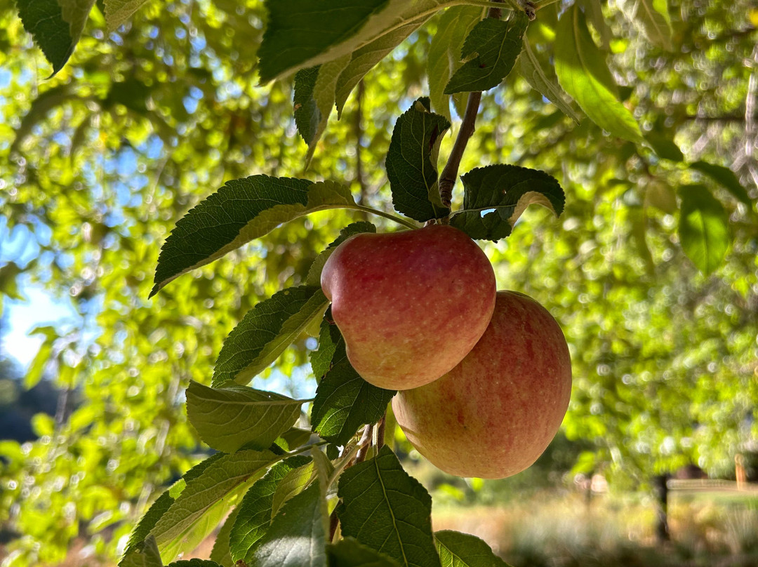 Bailey's on Palomar主图