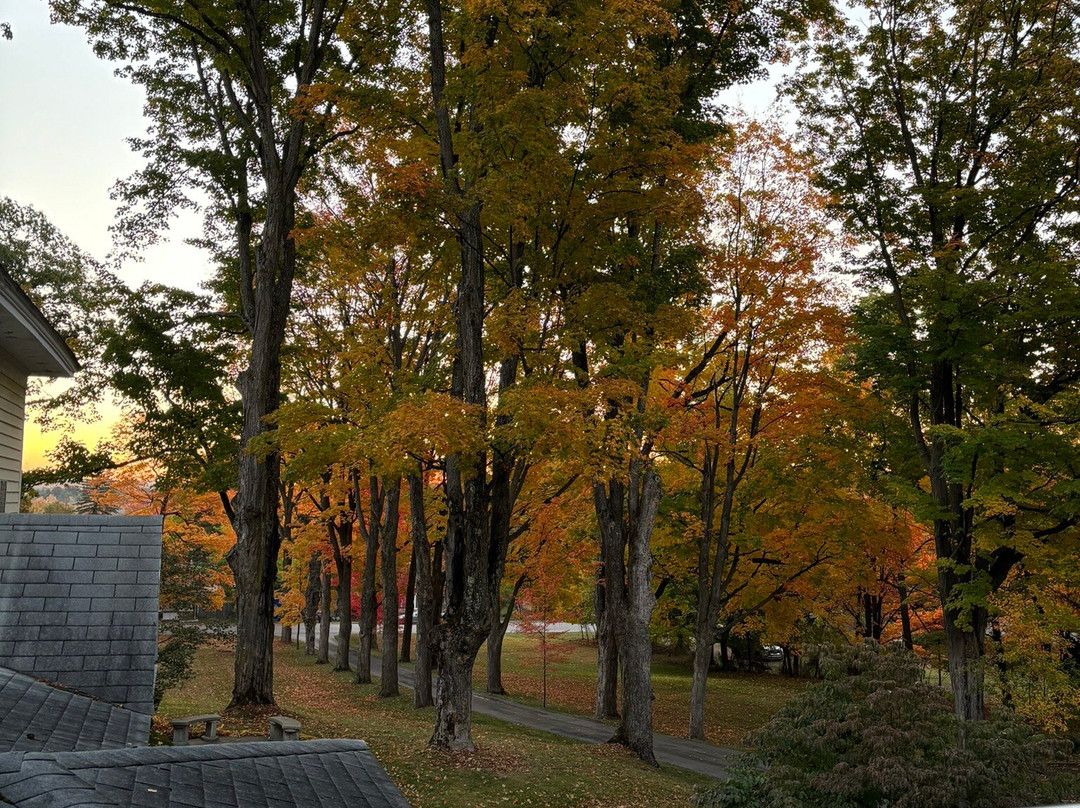 The Park Street Inn主图