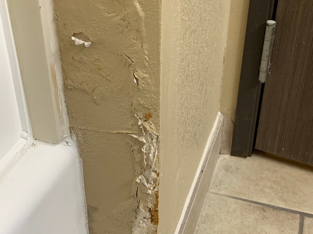 Holiday Inn Express & Suites Schulenburg By IHG主图