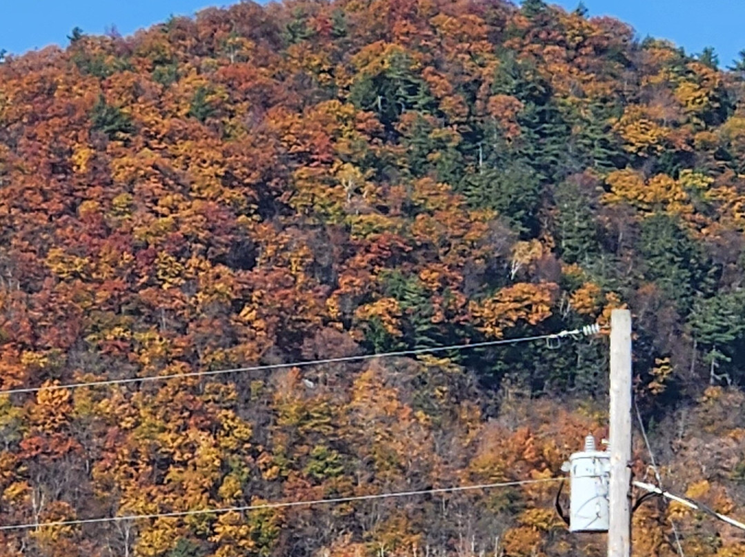 The Inn on Park Street主图