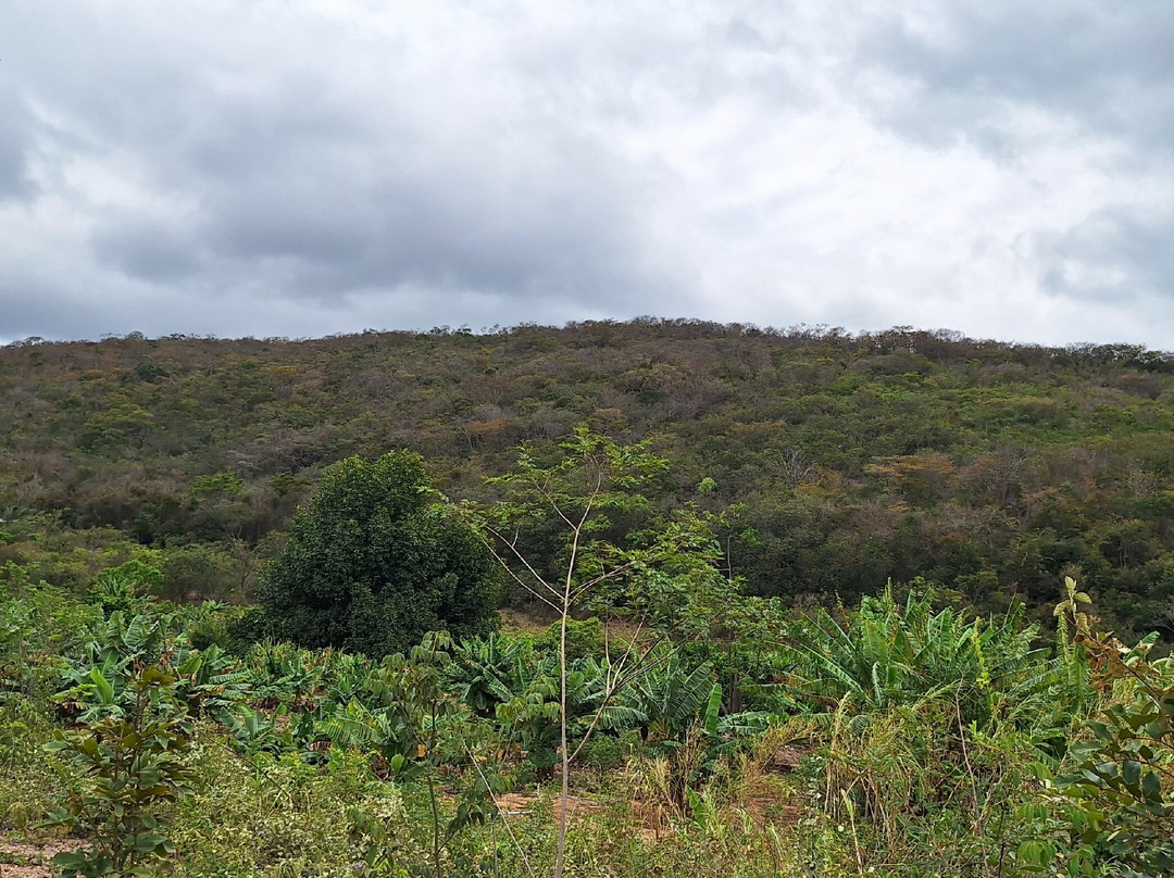 Conceicao Dos Gatos-Vale do Capao必去景点