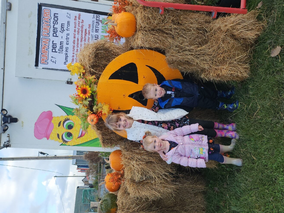 Marsh Maze And Fun Yard, Dymchurch Kent景点图片