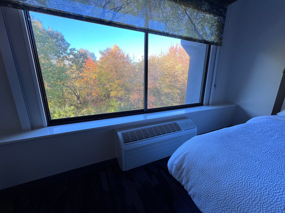 Fairfield Inn & Suites By Marriott Springfield Enfield主图