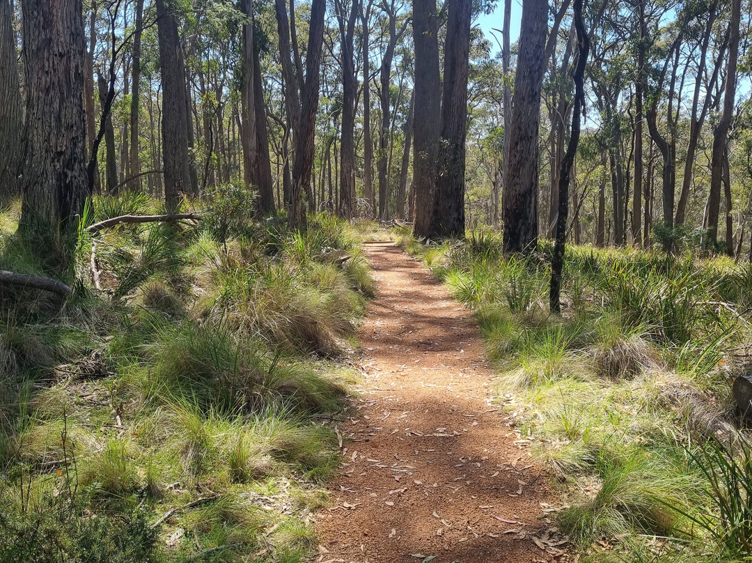 Coolah Tops National Park-Coolah必去景点