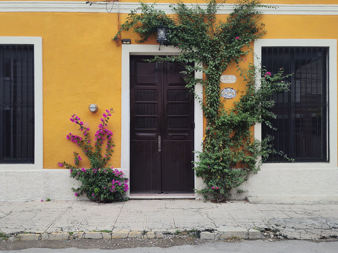 Casa Tres Colibries主图