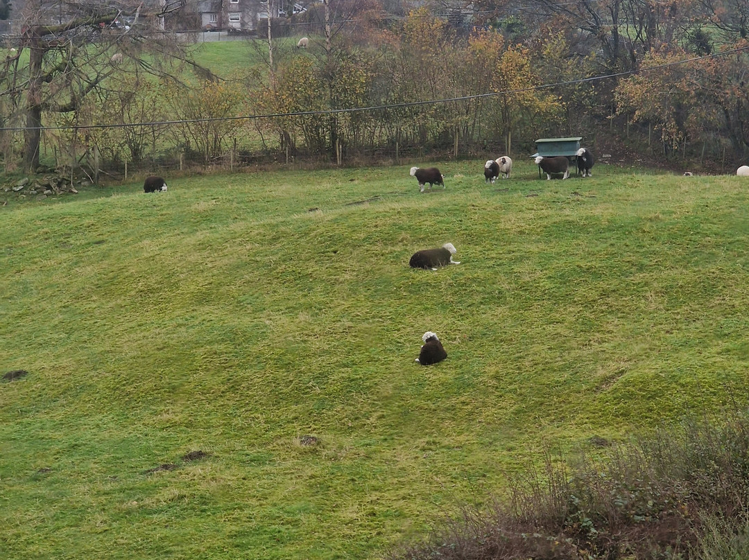 The Old Rectory主图