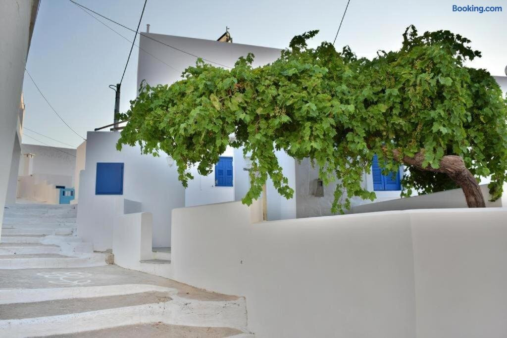 Ormos Egialis酒店住宿-Anatoli Rooms