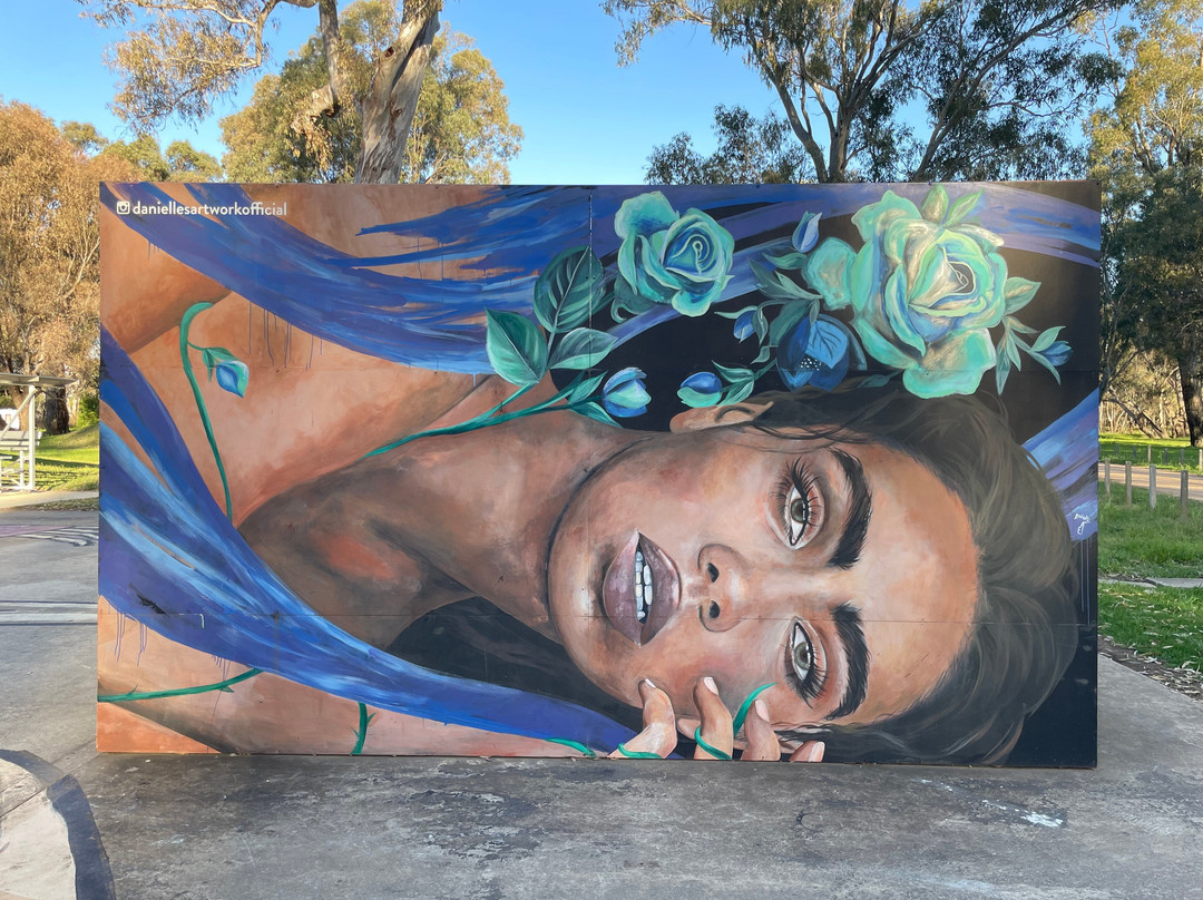 Benalla Street Art景点图片