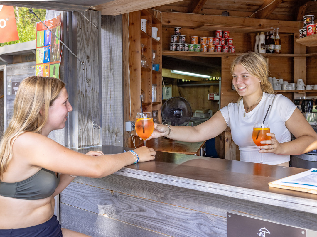 Lake Resort Pressegger See主图