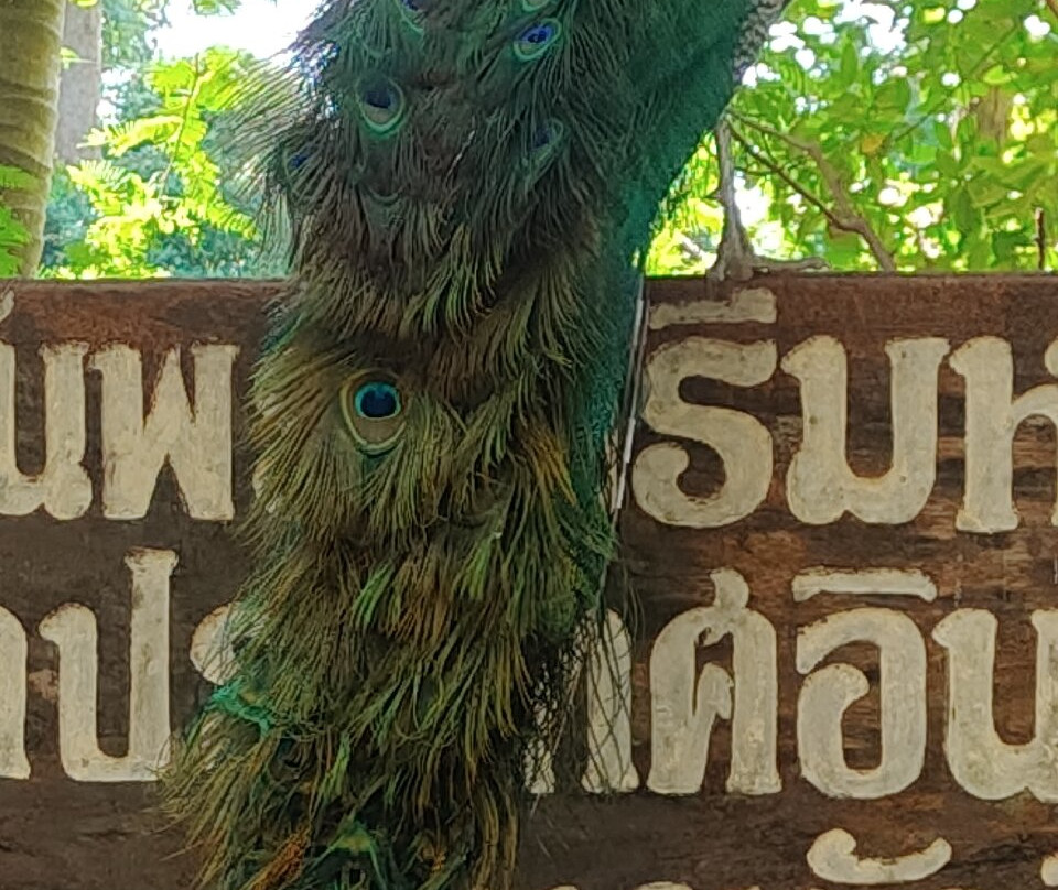 Wat Rahan-万兰必去景点