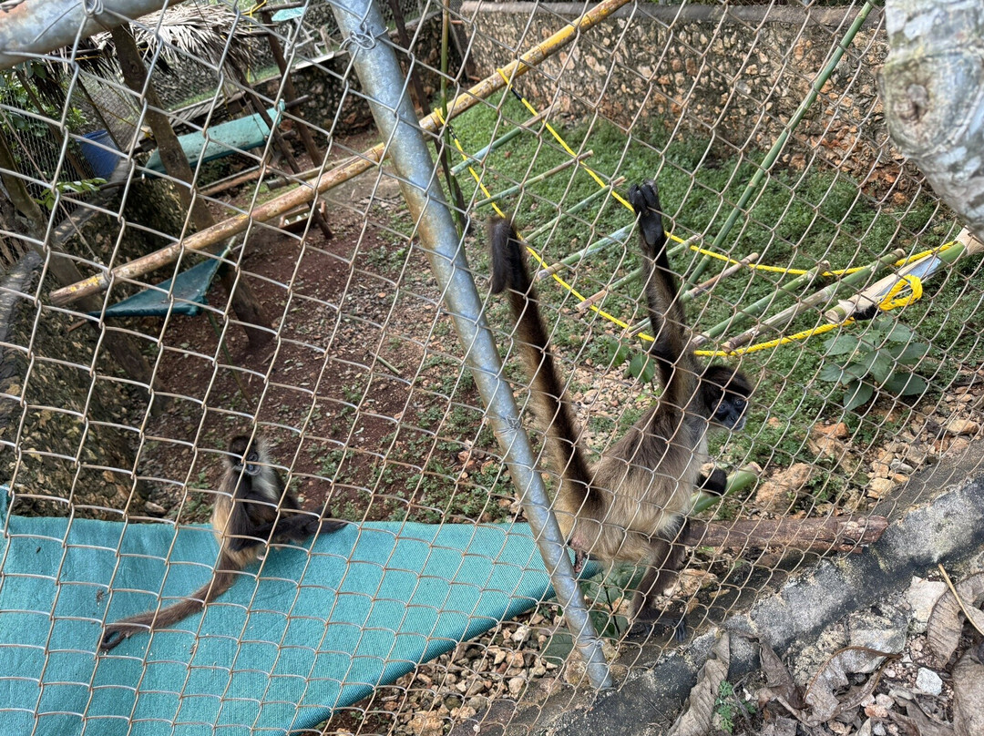 Vallazoo-巴利亚多利德必去景点