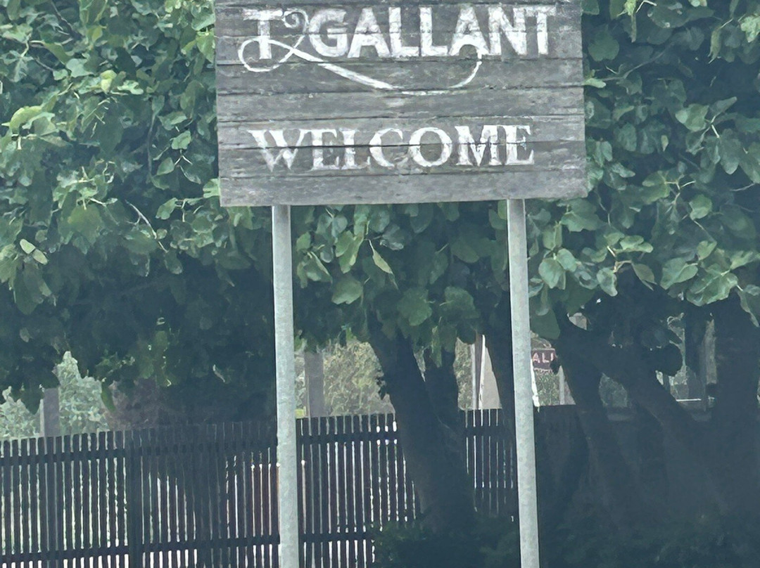 T'Gallant Vineyard景点图片