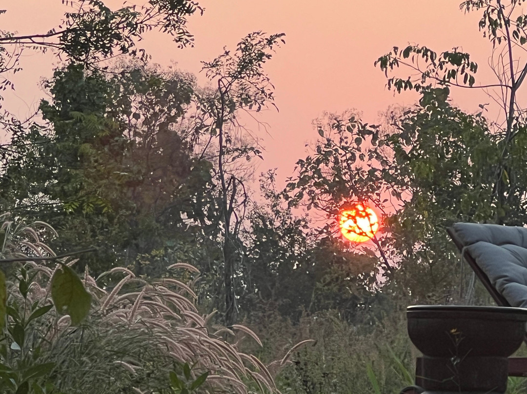 Tipai - Wildlife Luxuries主图