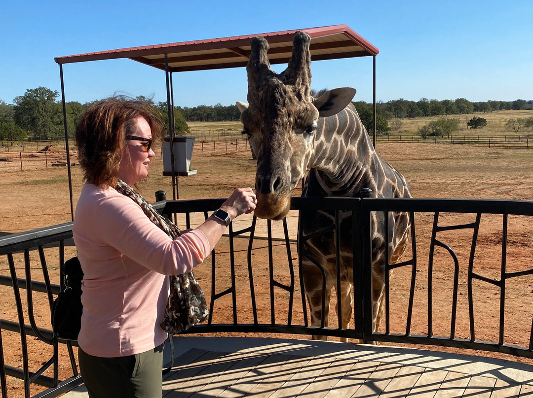 Longneck Manor-弗雷德里克斯堡必去景点