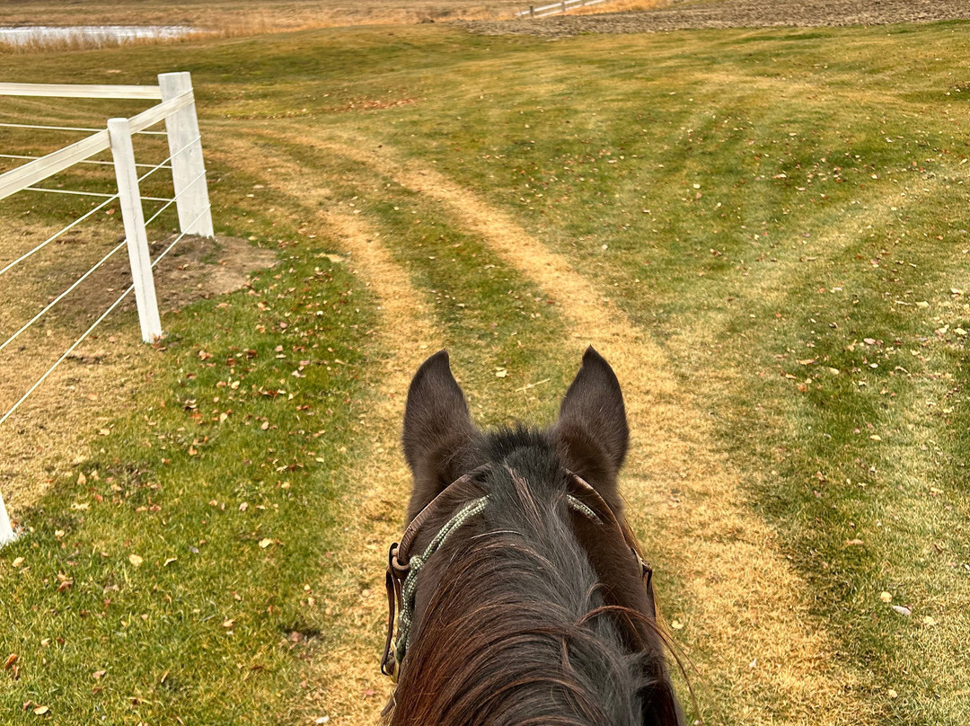 Putting Horse Ranch景点图片