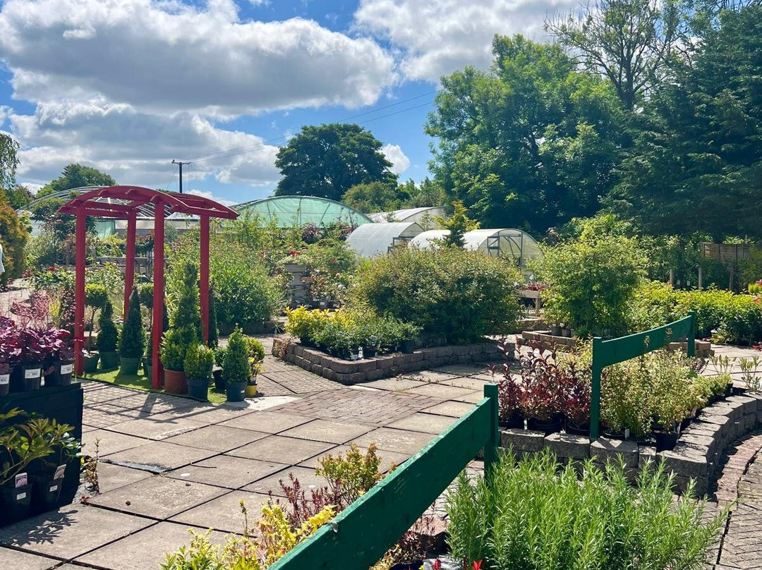 Longford Garden Centre-Longford必去景点