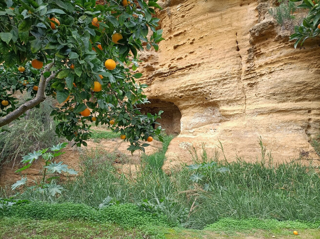 Giardino della Kolymbethra景点图片